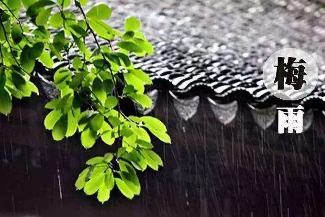 南京梅雨季節(jié)裝修